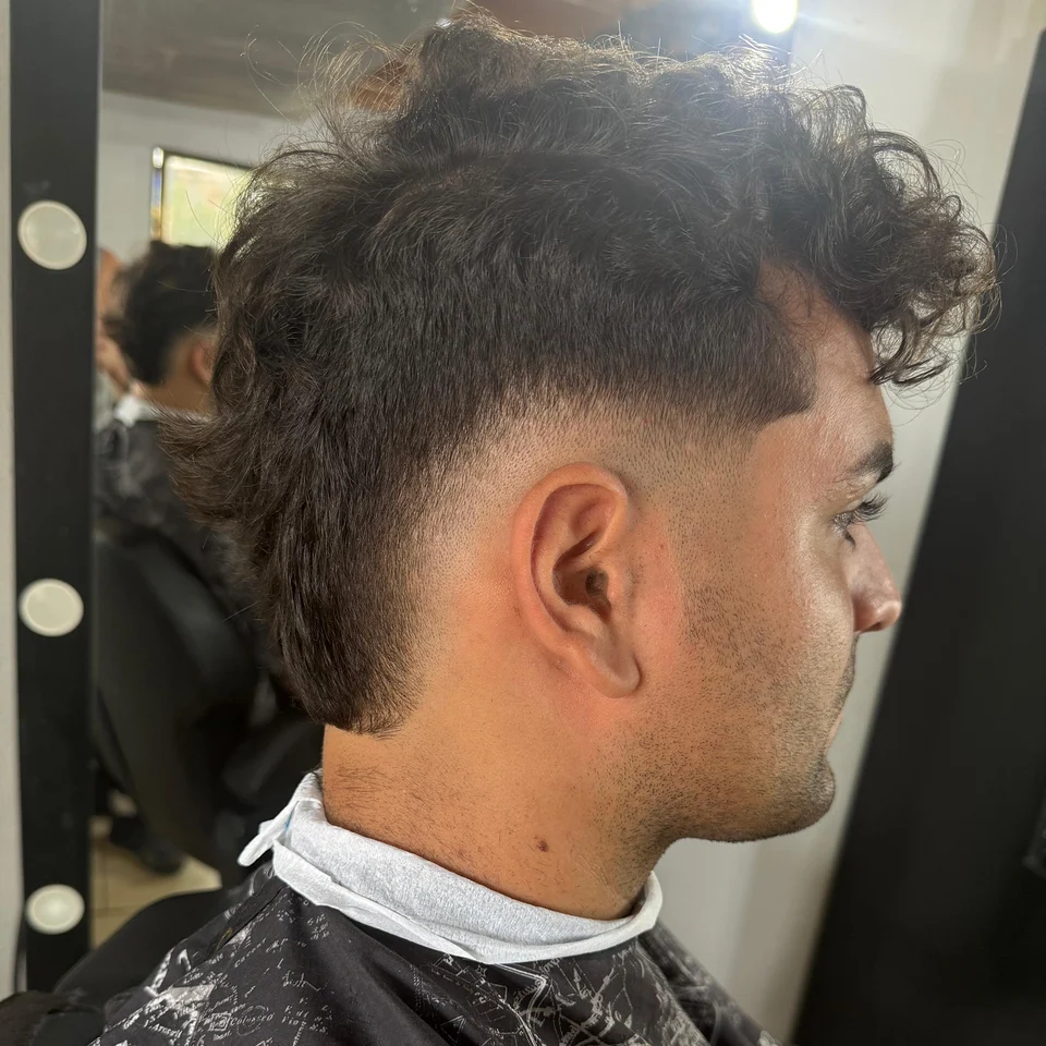 Curly hair with faded sides